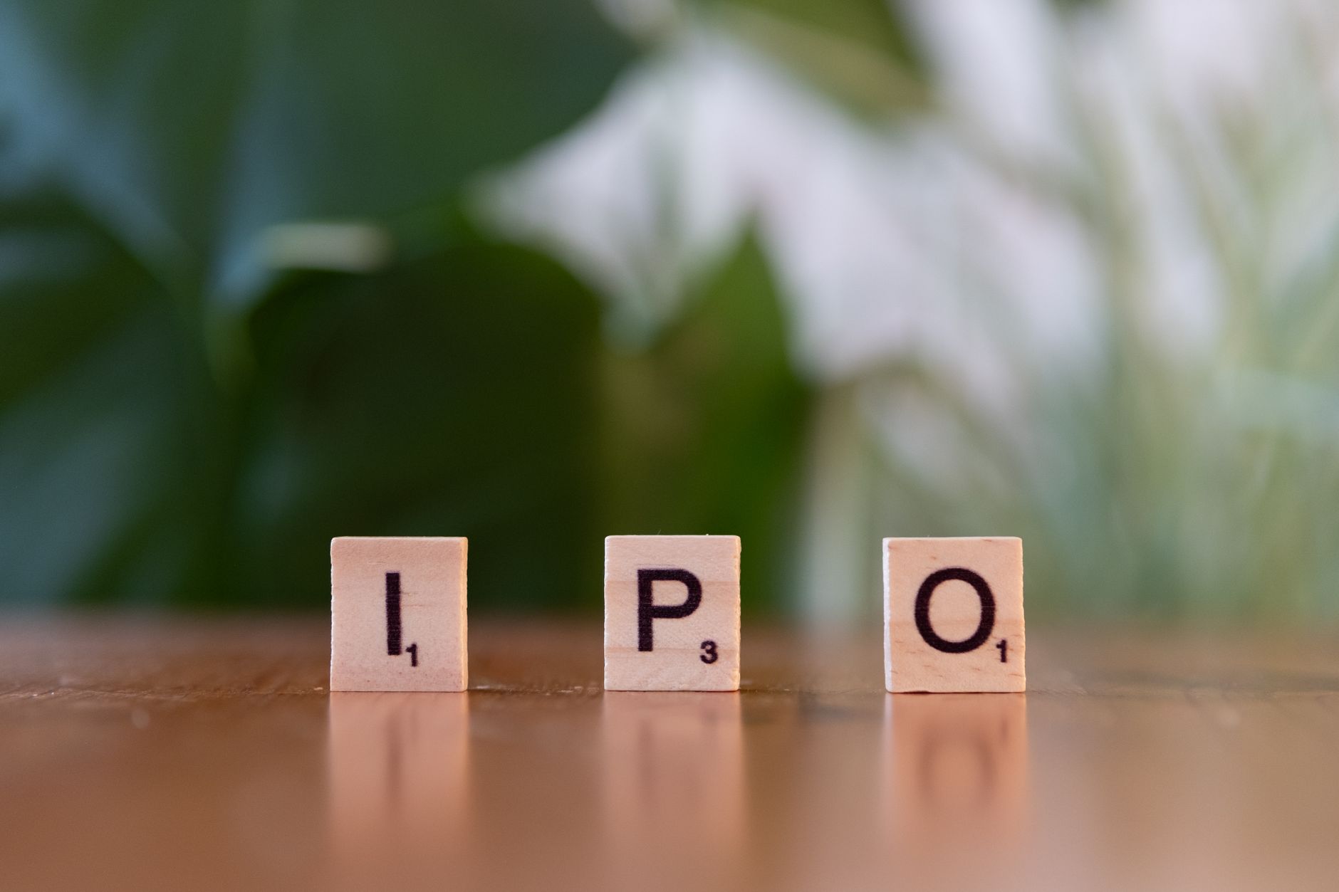 NSE IPO Listing: The Best Debut Performance Insights